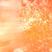 Icee Sun 7.4.12 by sfeldphotos