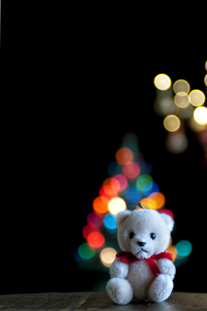 Teddy Bear Bokeh by lstasel