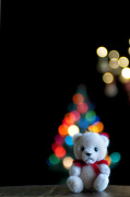 21st Dec 2012 - Teddy Bear Bokeh