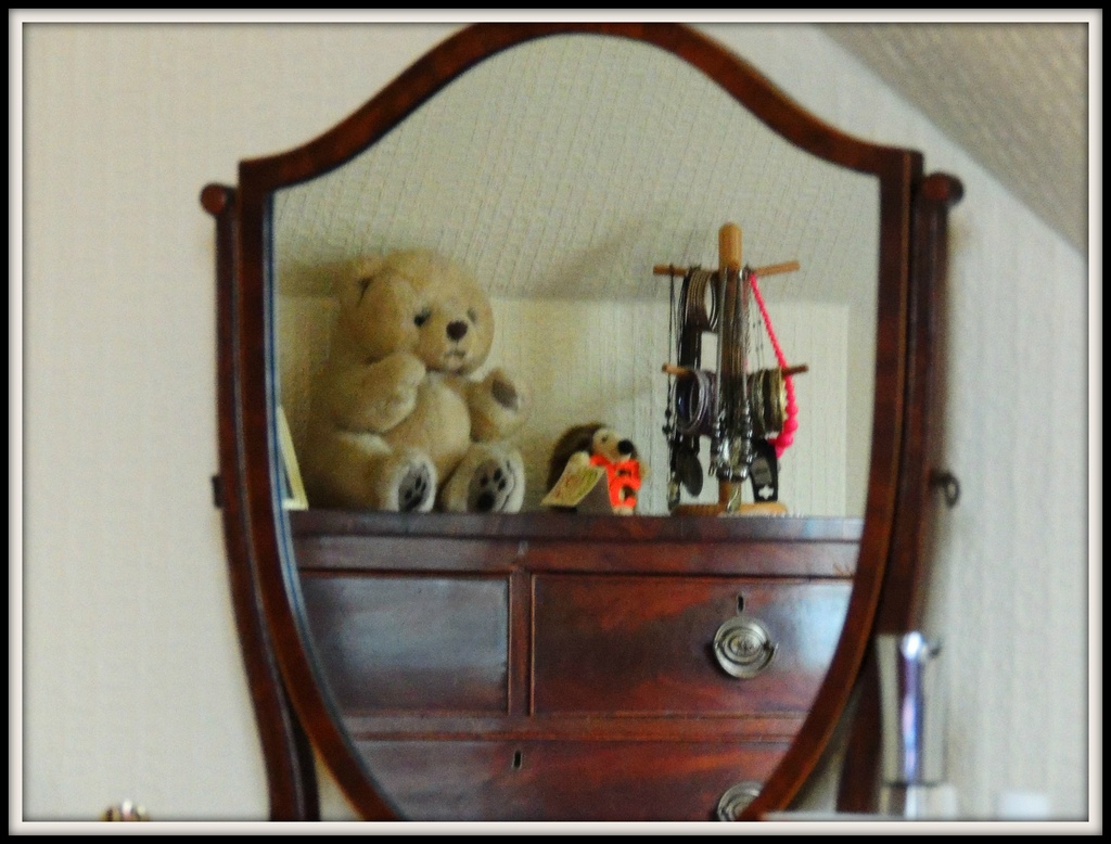 Reflection of Teddy by rosiekind