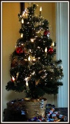 22nd Dec 2012 - I've finally got the tree out