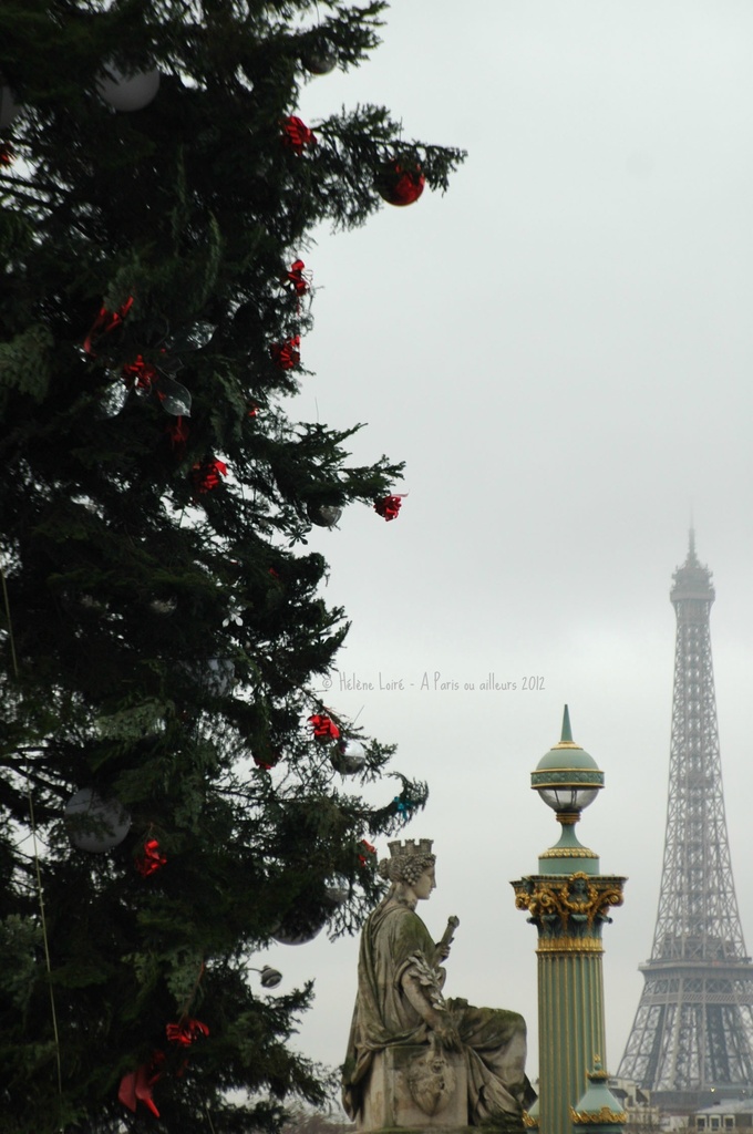The higgest christmas tree in France is place de la Concorde by parisouailleurs