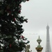 The higgest christmas tree in France is place de la Concorde by parisouailleurs