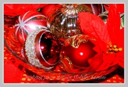 23rd Dec 2012 - Merry Christmas to all my friends and all 365ers.