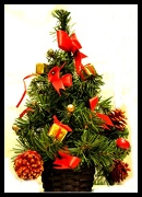 22nd Dec 2012 - little Christmas tree