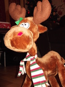 16th Dec 2012 - Reindeer