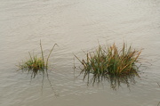 20th Dec 2012 - floods