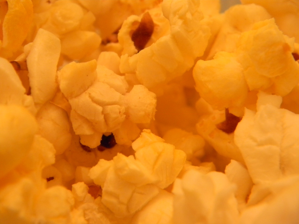Popcorn 12.20.12 by sfeldphotos