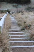 18th Dec 2012 - Stepping into Winter