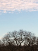 23rd Dec 2012 - Blue skys