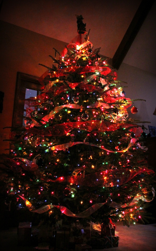 Christmas Tree by tara11