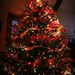 Christmas Tree by tara11