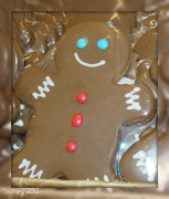 23rd Dec 2012 - gingerbread man - cookie - December list #23