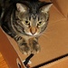 Love my new box! by edorreandresen