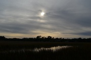 23rd Dec 2012 - Marsh and late afternoon sky, Charles Towne Landing State Historic Site, Charleston, SC