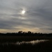 Marsh and late afternoon sky, Charles Towne Landing State Historic Site, Charleston, SC by congaree