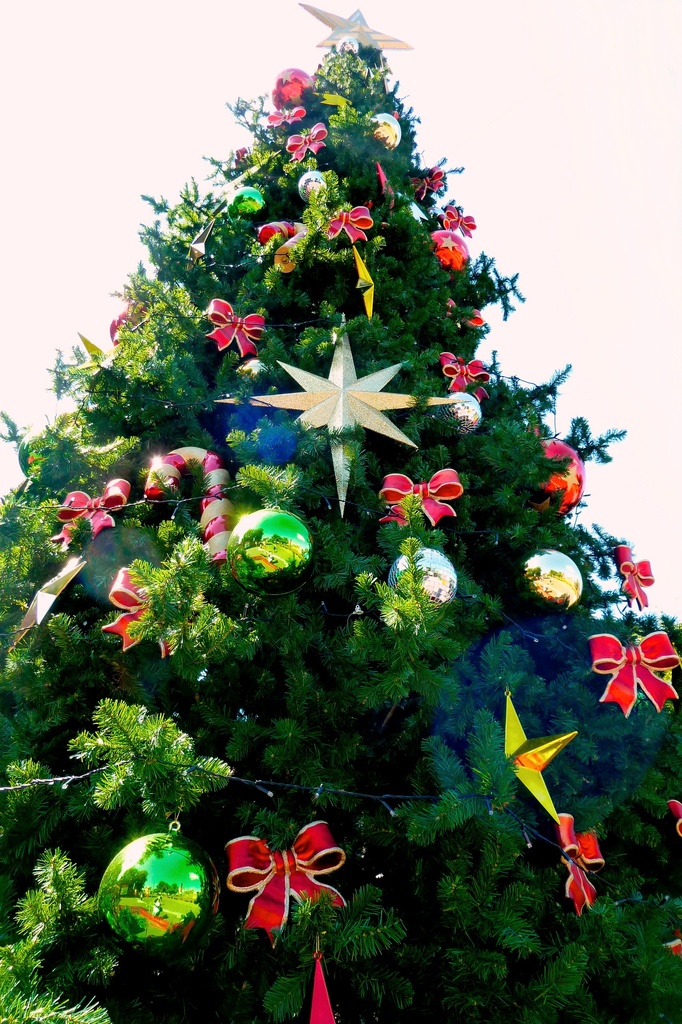 Christmas Tree by kjarn