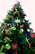 24th Dec 2012 - Christmas Tree