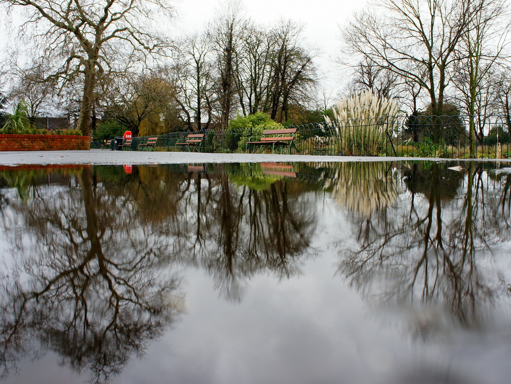 Park puddle by boxplayer
