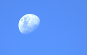 24th Dec 2012 - Moon
