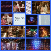 25th Dec 2012 - Azalea Park 2012