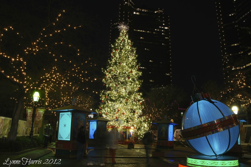 Christmas in Fort Worth by lynne5477
