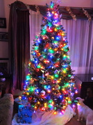 25th Dec 2012 - Merry Christmas