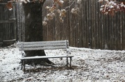 26th Dec 2012 - Snowy Texas Christmas