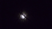 23rd Dec 2012 - The Moon on Christmas Eve 