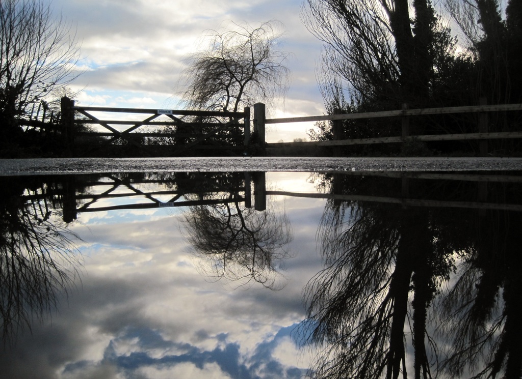 the sky in a puddle by quietpurplehaze