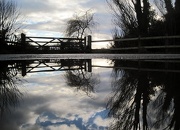 26th Dec 2012 - the sky in a puddle