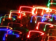 26th Dec 2012 - Christmas Tree Lights