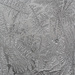 Frost (best viewed large) by aecasey