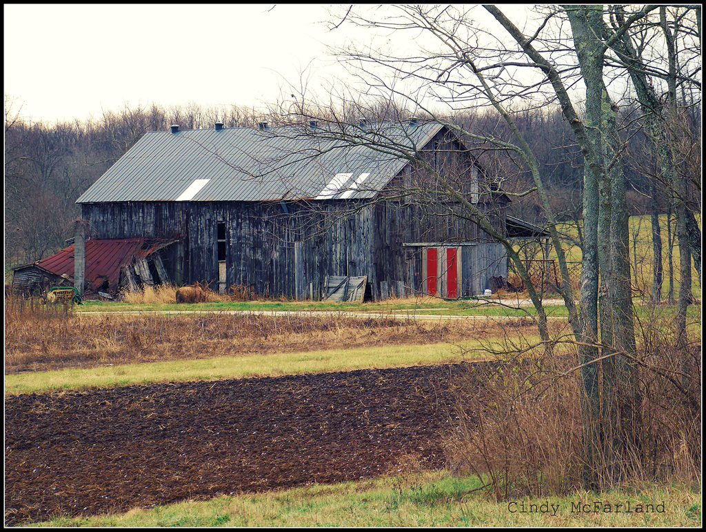 Barn with the Red Doors by cindymc