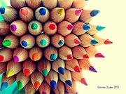 27th Dec 2012 - Pencil Tip Flower
