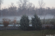 27th Dec 2012 - Foggy Jersey Morning