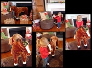 27th Dec 2012 - The Christmas Pony
