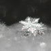 Snowflake (best viewed large) by aecasey