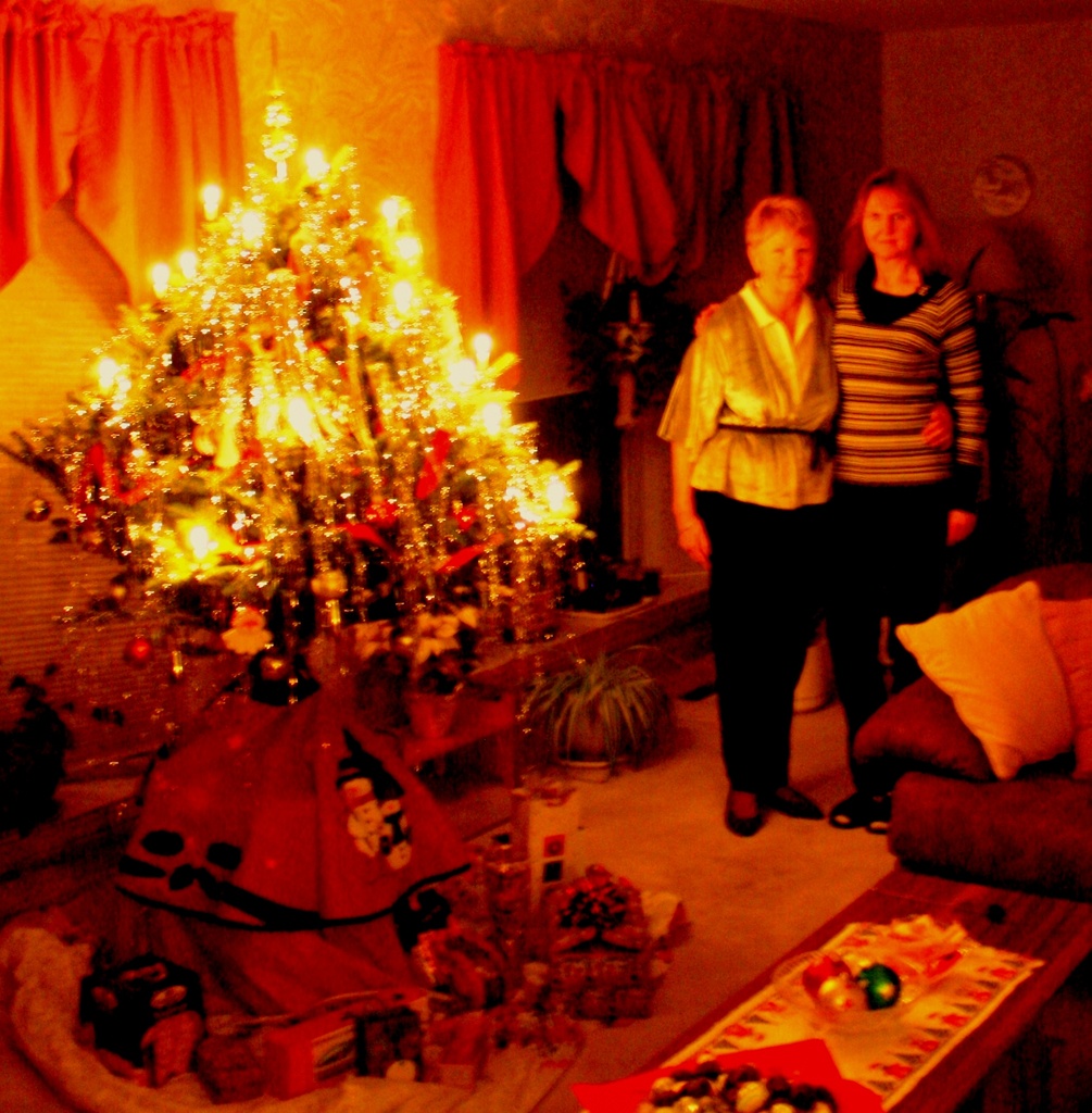 Christmas 2011 by bruni
