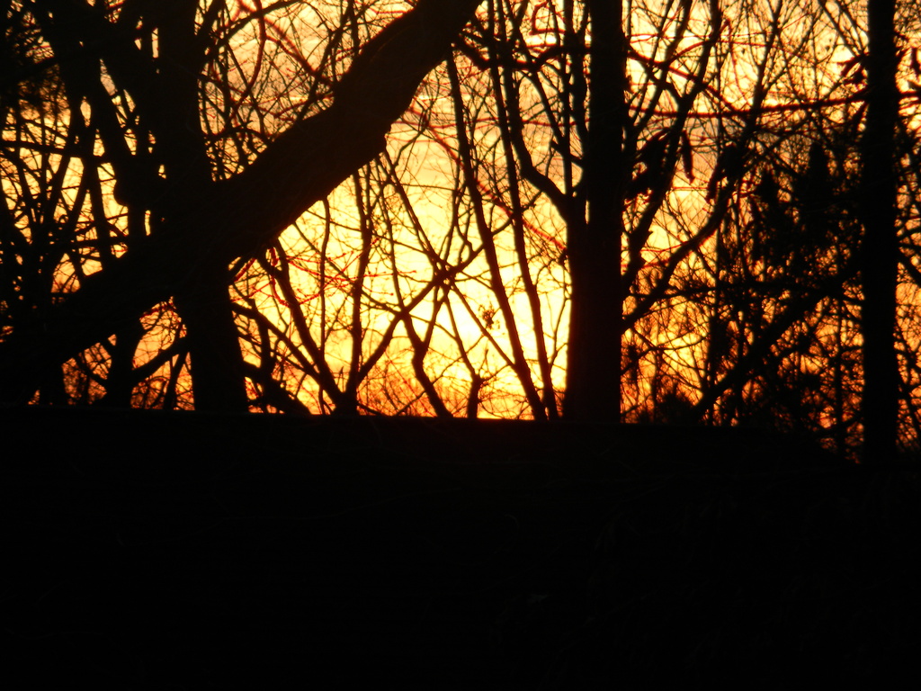 Sunset 12.27.12 by sfeldphotos