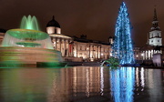 27th Dec 2012 - Trafalgar Square tree