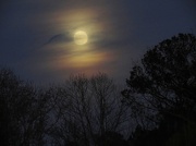 27th Dec 2012 - Moonlight Path