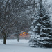 Inniswood winter 2012-2 by ggshearron