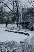 24th Dec 2012 - Inniswood winter 2012-1