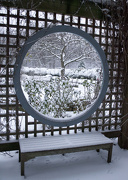 27th Dec 2012 - Inniswood winter 2012-3