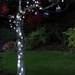 Backyard Christmas tree by kimmer50