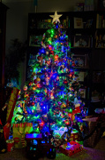 28th Dec 2012 - Tree of light