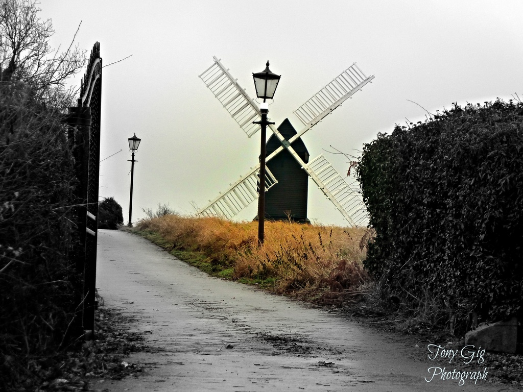 Windmill  by tonygig