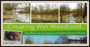 28th Dec 2012 - Flooded woodland 