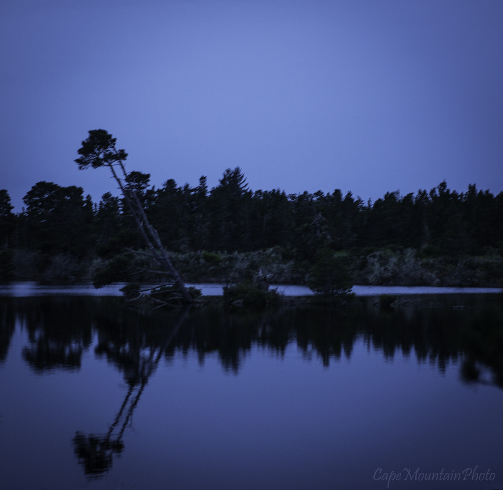 Twilight Lake Reflections by jgpittenger